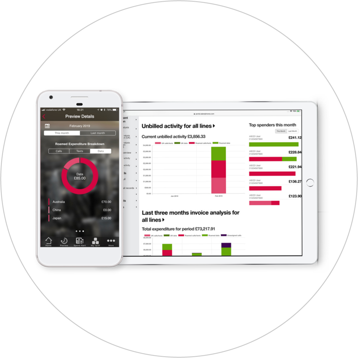 Usage and Cost Control